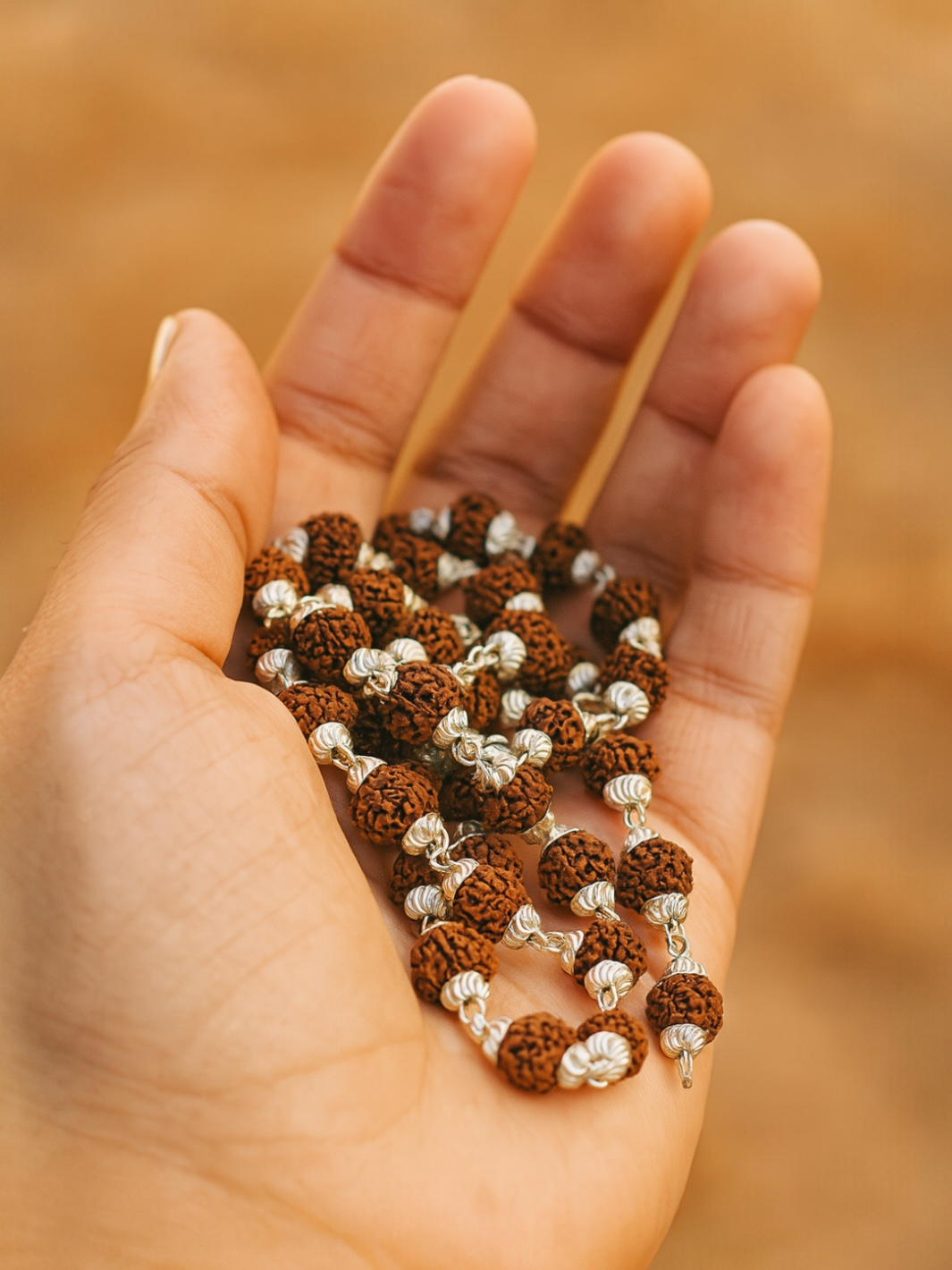 Natural Rudraksha Pure Silver japa mala (54-beads)