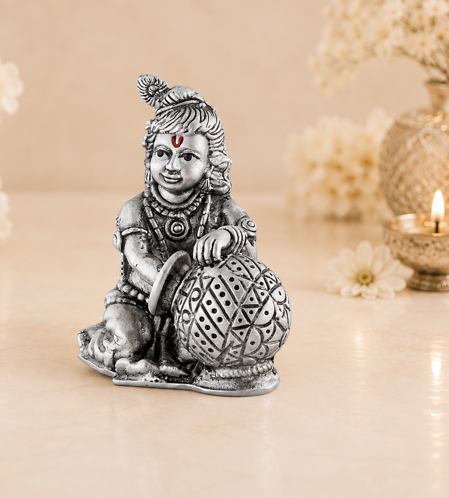 SHREE KRISHNA JI